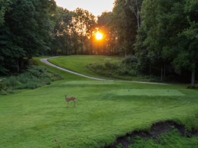 어윈의 코요테 크로싱이 선두를 달립니다.