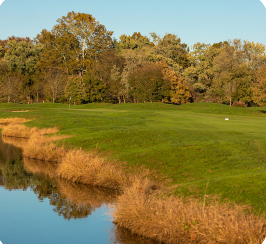 Untitled design0 (2)