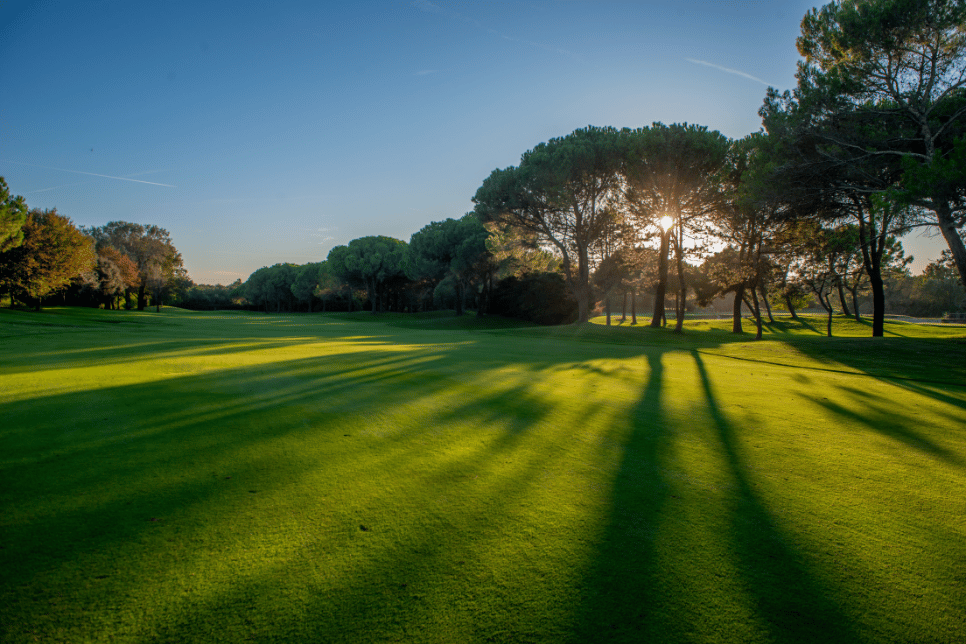 A matter of Life or death