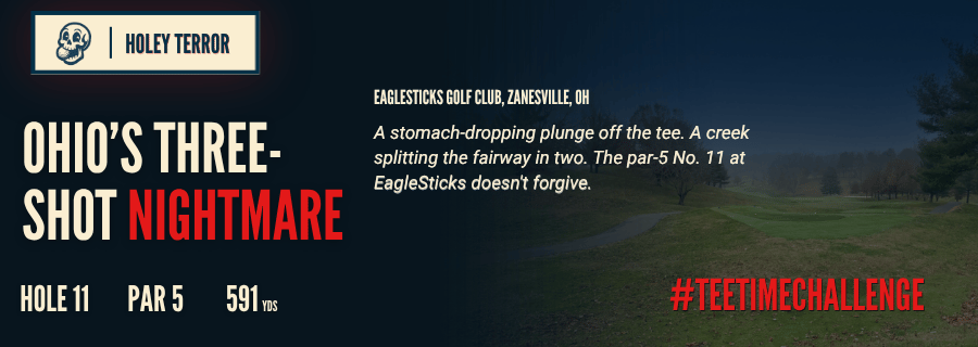 Eaglesticks Golf course hole 11