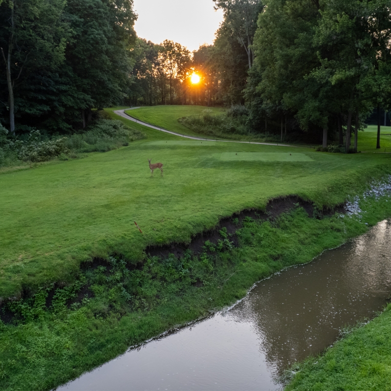 Sunrise at coyote crossing