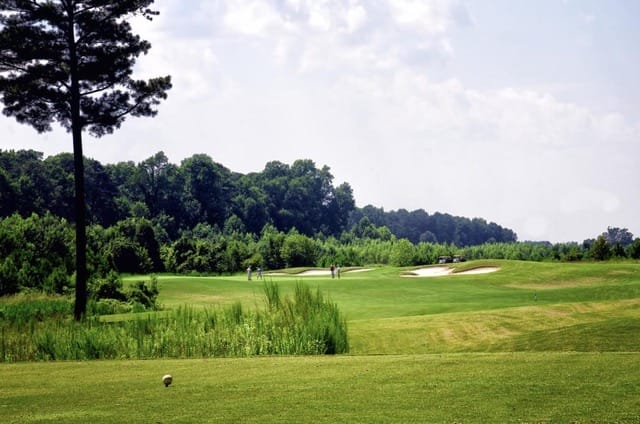 Stop the Car and Enjoy a Round at Belmont Lake