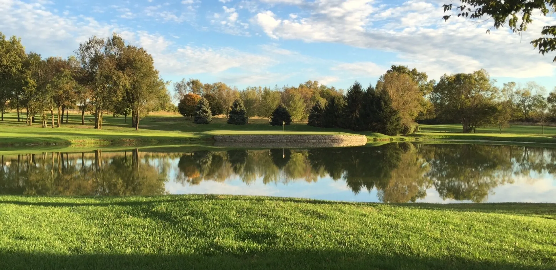 University Club of Kentucky - Wildcat