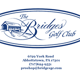 Bridges logo
