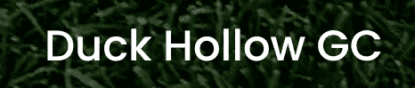 Duck Hollow logo